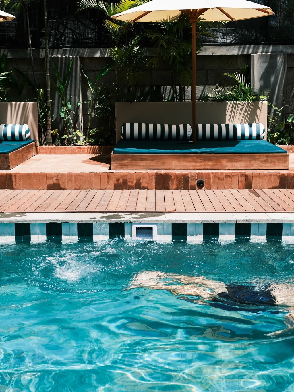 Shared pool surrounded by palms and a sun umbrella